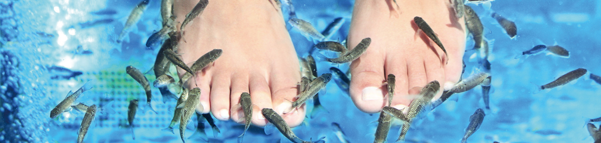 フィッシュフットマッサージ